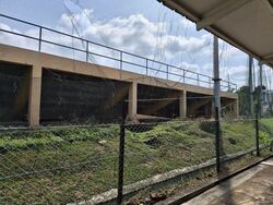Siglap Road (D15), Detached #532729421